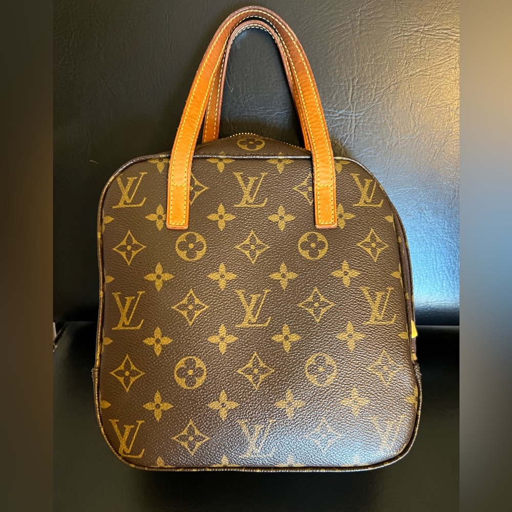 Small Louis Vuitton purse